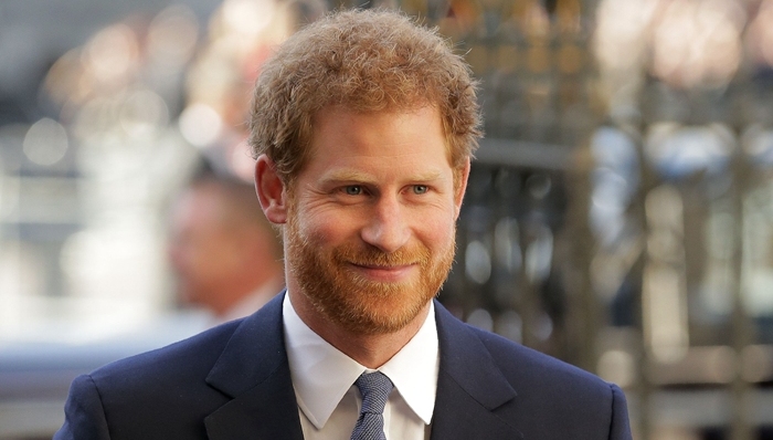 哈里,戴安娜,心理