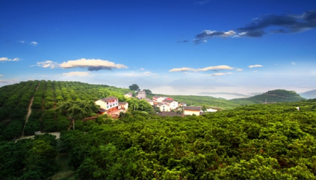 重庆忠县的电竞大跃进：花14亿建设一个电竞小镇，你会看好吗