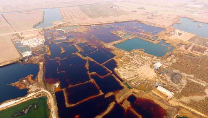 大成县,渗坑,环保部,联合调查组