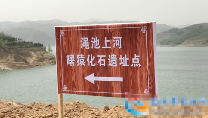 河南渑池,类人猿,人类起源于非洲