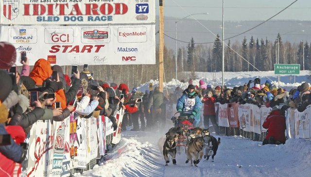 【深度】伟大的雪地征程：阿拉斯加-艾迪塔罗德狗拉雪橇大赛