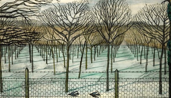 十本和树有关的图书 带我们“迷失”在树木的海洋中