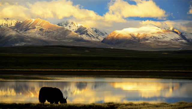 国家公园,青藏高原,世界最大