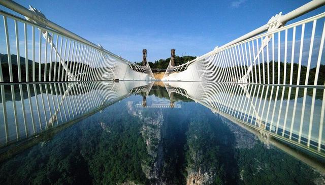 张家界,张家界旅游,文化旅游,杨家界,文化项目,索道,张家界千古情,遇见大庸,天子山,年报显示