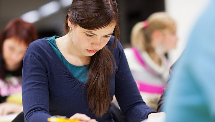 工作签证,留学生,新西兰移民