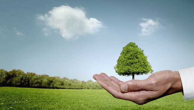 环保部长：2016年我国环境质量总体向好 局部恶化