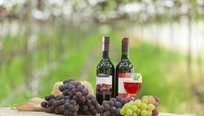 海外酒庄转亏   张裕进口葡萄酒大战略受阻