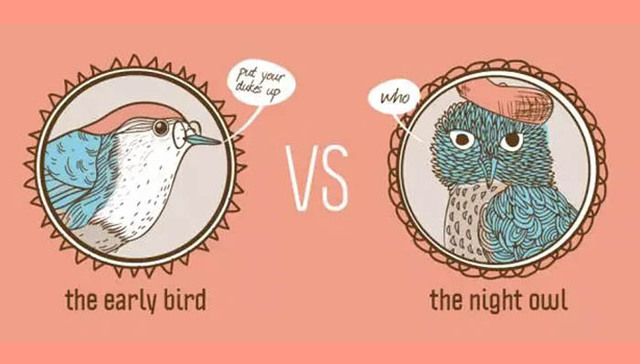 携带者,基因数据库,Patke,Bilkent,DSPD,基因决定,抑制剂,激活剂,蛋白质,Cell