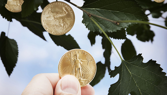 上市公司增持,A股市场