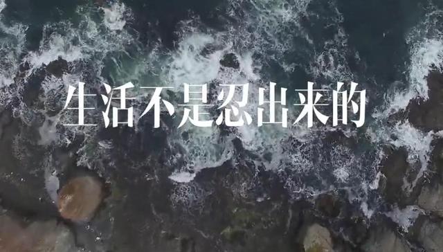 京东,白条,蚂蚁花呗,分期,年轻人