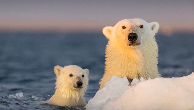 美国上演“人民气候游行”：要么现在环保 要么以后游泳