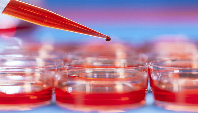 一滴血,癌症,误导百姓