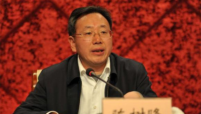 陈树隆,滥用职权,中共中央,涉嫌受贿,副省长,收受,党的纪律,中国共产党纪律处分条例,代表资格,政治