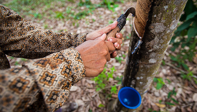 天然橡胶助力 中化国际一季度净利润增长近3倍至2.34亿