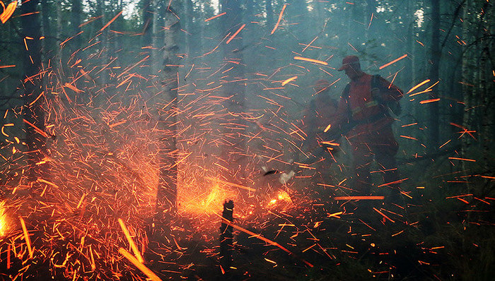 大兴安岭,森林火灾,过火面积