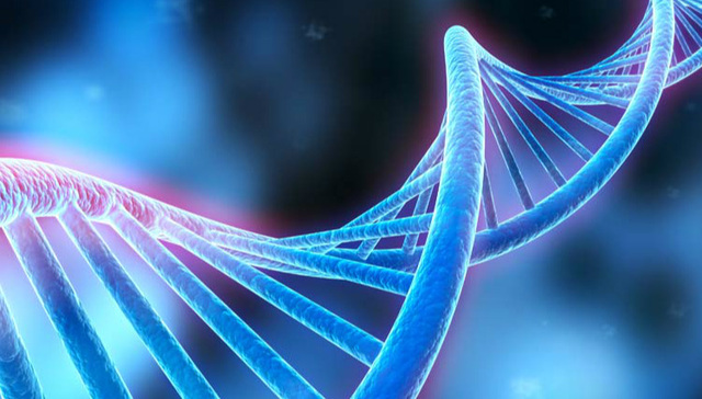 DNA双螺旋结构的阴暗面