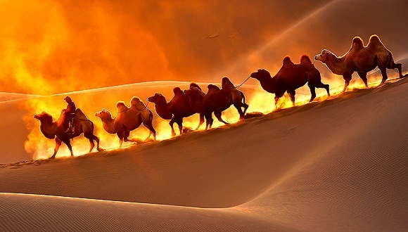 塞尔维亚,一带一路,倡议,光明日报,1990年,欧元区,钢厂,萨格勒布,铜业公司,工业化战略