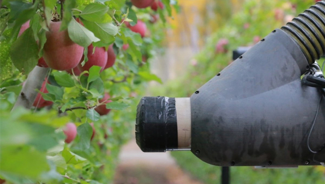 Abundant,谷歌,FFRobotics,真空抽吸,机器人,采摘技术,Steere,云网,这笔