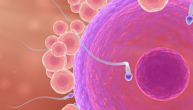 赞美想象力：科幻小说为未来医疗提供了哪些想法？