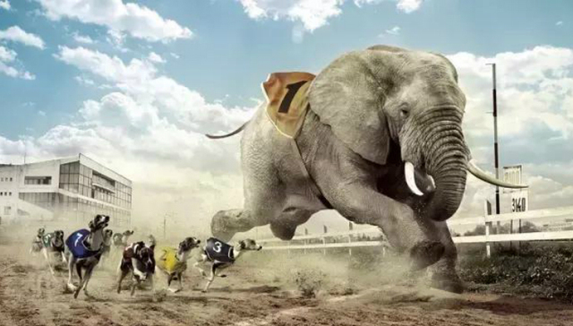 大象安全套,互联网思维