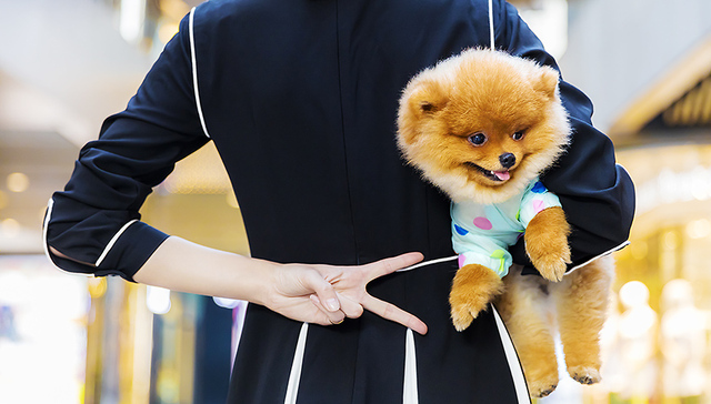 永辉,宠物专用购物车