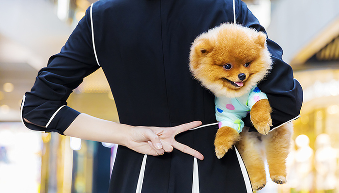 永辉,宠物专用购物车