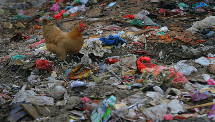 南京限购,硕士买房,社保证明,嘉陵江,铊污染,中央环保督查组,纪委官员,非法持有弹药