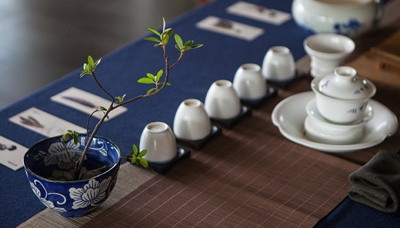 掌握好技巧 手机也能拍出茶叶大片