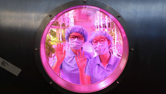 北航“月宫365”计划启动 开始多人365天密闭实验