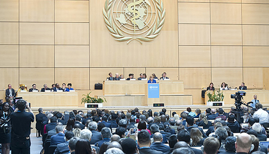 世卫组织表态：无计划邀请台出席今年世卫大会