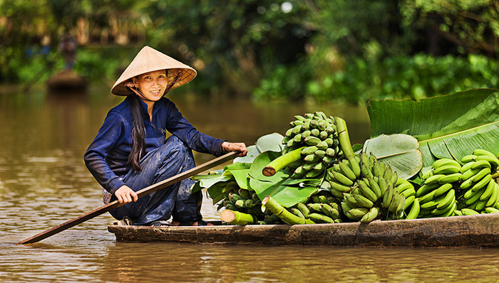 江心坡,边民互市贸易,走夷方,南方丝绸之路,香蕉种植,进出口总额,鲜活农产品,互助组,农业合作,火龙