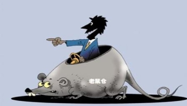 原明星基金经理老鼠仓案曝光 16股豪取近千万