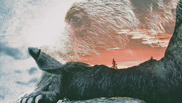 加拿大BC省,战利品狩猎,观熊旅游