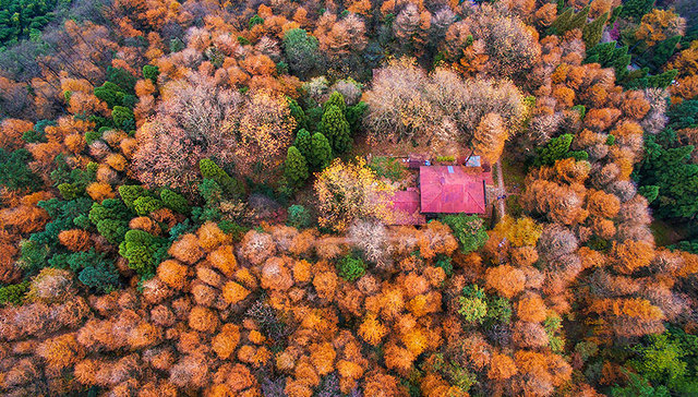 莫干山,民宿,旅游风向标