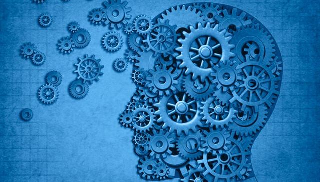 想在工作中达到巅峰状态？你得先洞察大脑