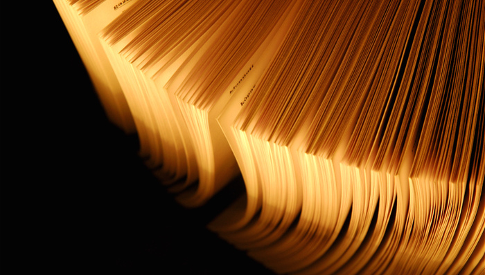 论文造假,人民日报,英雄