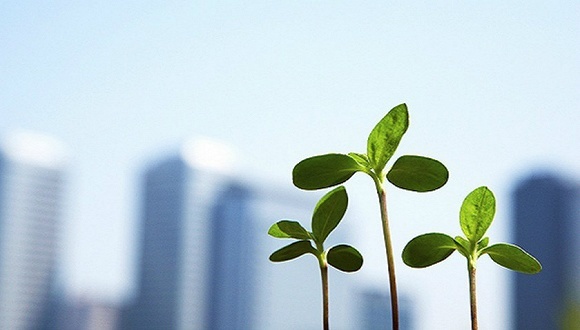 钢铁,碳市场,环保