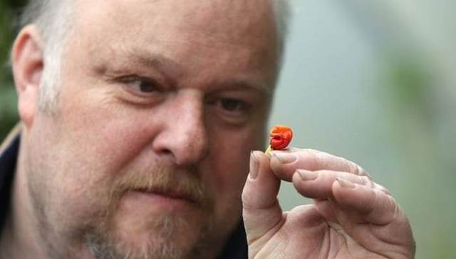 英国农夫意外育出世上最辣辣椒“龙息” 吃一颗可能致死