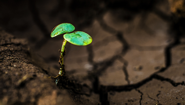 贫困户,郑红山,回族村,定西市,村民,合作社,群像,扶贫政策,工作队,扶贫项目