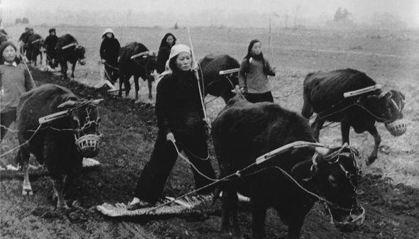 记忆的性别：中国农村老年妇女记忆中的生活史为何重要？