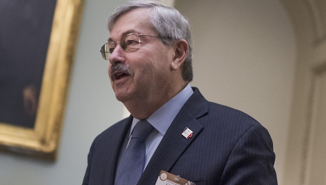 驻华大使,特里·布兰斯塔德