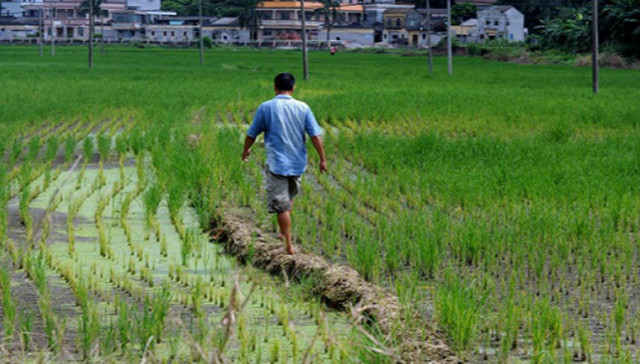 环保部：“十三五”期间将出台农用地、建设用地土壤环境质量标准