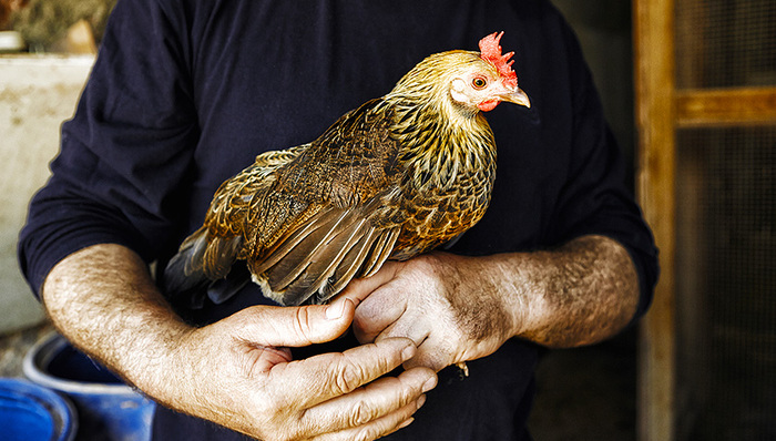 伊祥·托合提：脱贫不能“等靠要” 年过半百也要拼
