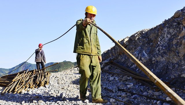 农民专业合作社,股东,合作社,任广卫,三变,小病,刺梨,土地承包经营权,种植,分红