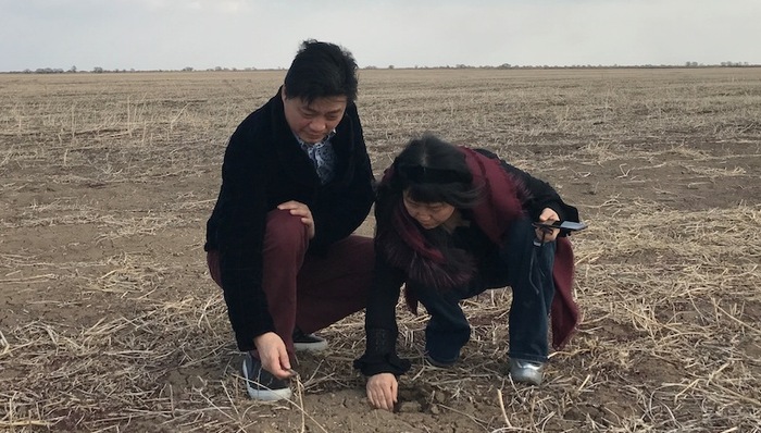 崔永元
