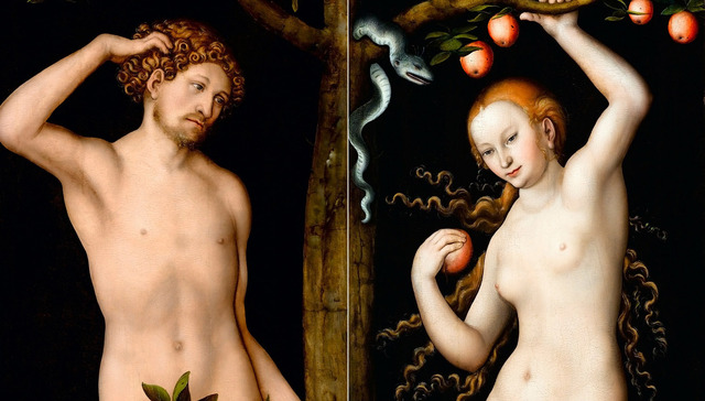 男女性取向上的差异