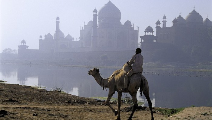 估值缩水融资困难 印度顶级初创企业已失去光环？
