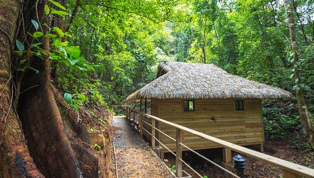 绿色思维不仅能帮独立酒店带来好名声，还有好生意