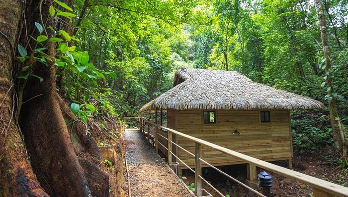 绿色思维不仅能帮独立酒店带来好名声，还有好生意