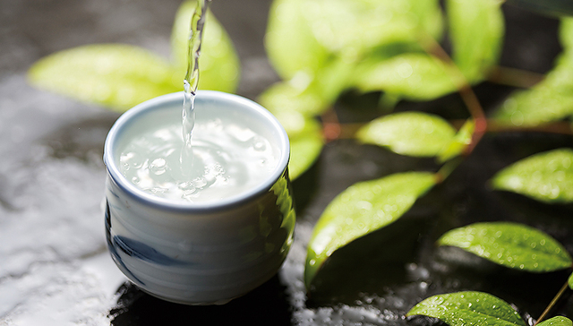 白酒还将继续涨价？五粮液普五一批价已破800元